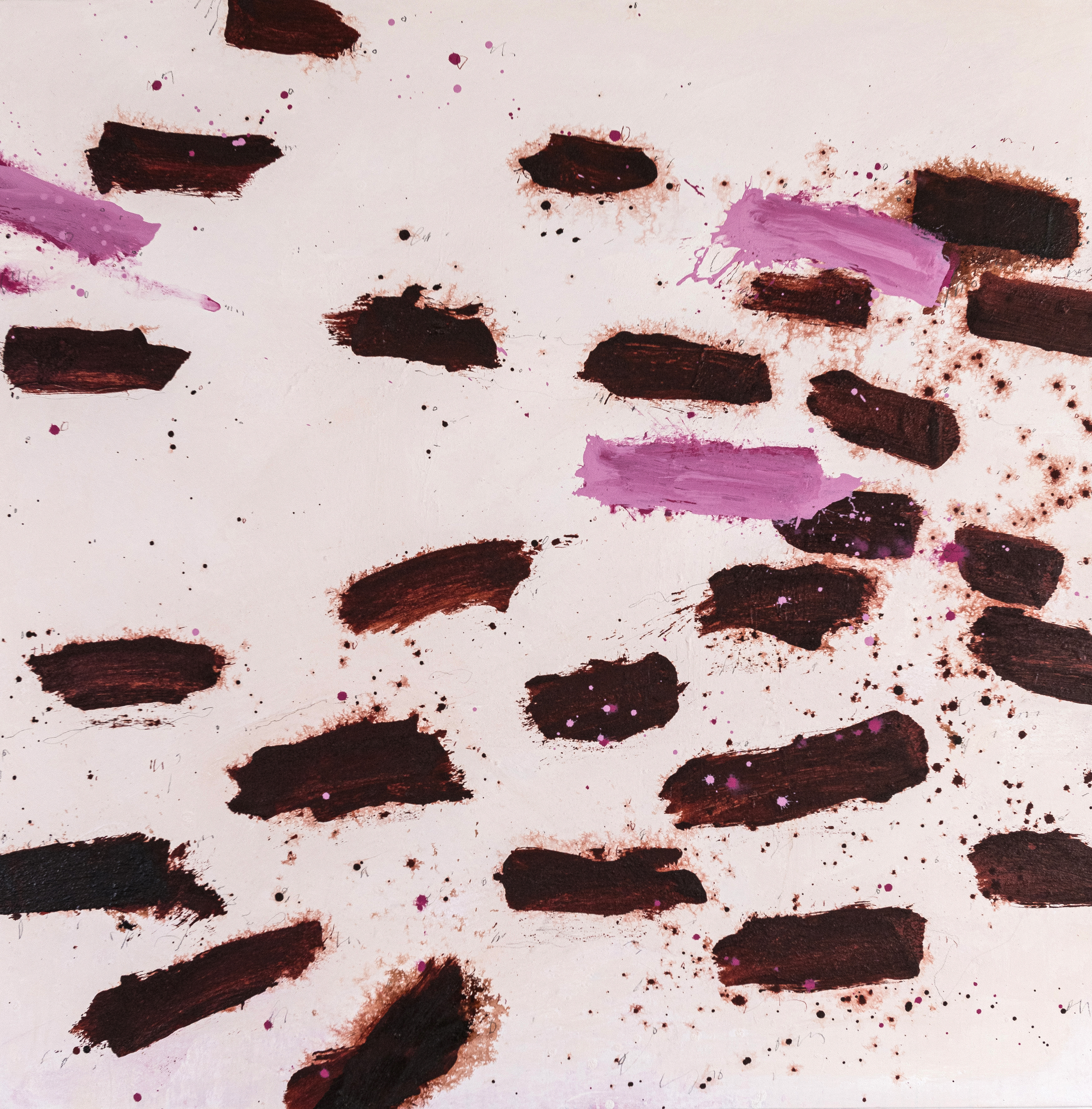14- Pink Salt Lake, muddy edge