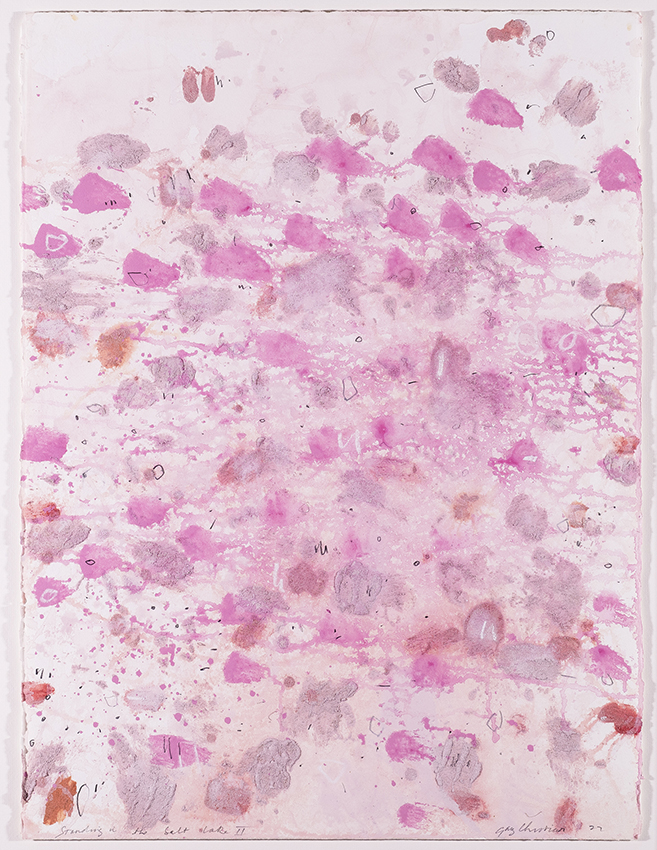 Standing in the Salt Lake 2