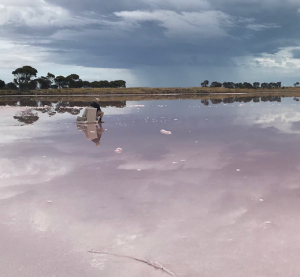 SALT LAKE YORK PENNINSULA