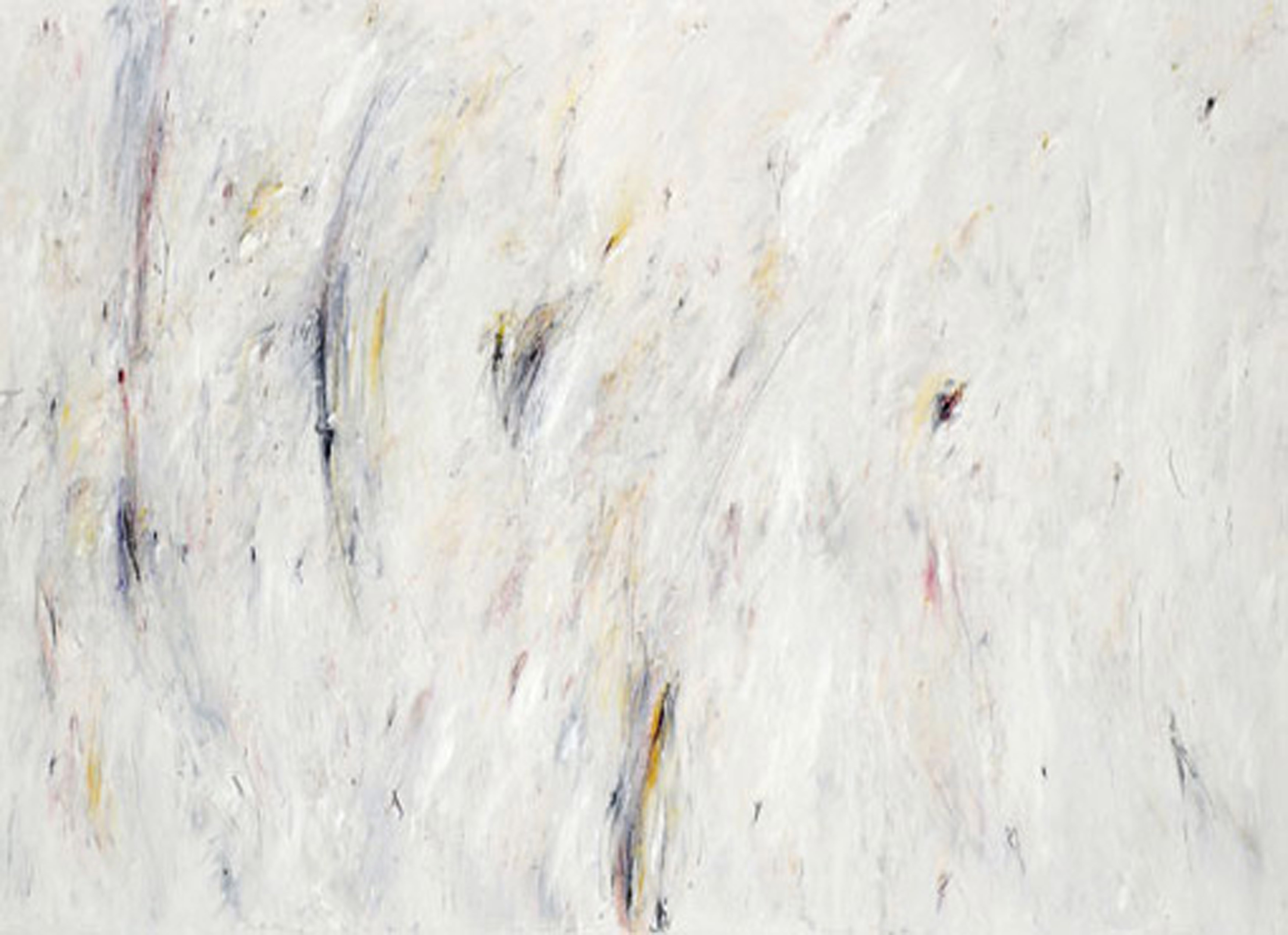 bird10