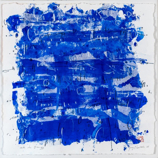 Into the Blue IV
